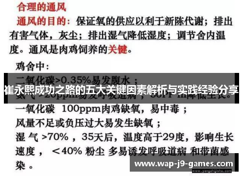 崔永熙成功之路的五大关键因素解析与实践经验分享