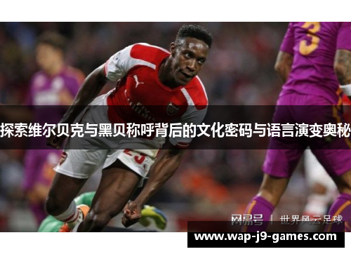 探索维尔贝克与黑贝称呼背后的文化密码与语言演变奥秘