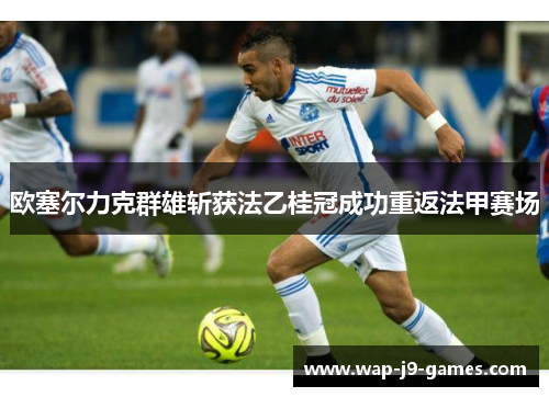 欧塞尔力克群雄斩获法乙桂冠成功重返法甲赛场