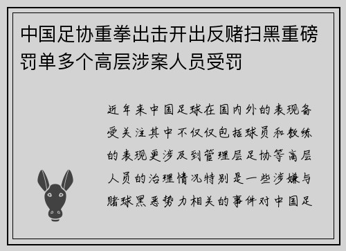 中国足协重拳出击开出反赌扫黑重磅罚单多个高层涉案人员受罚