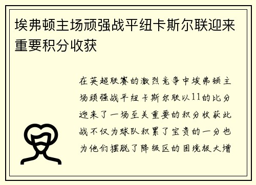 埃弗顿主场顽强战平纽卡斯尔联迎来重要积分收获